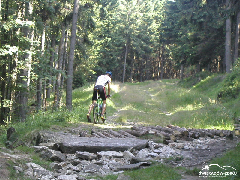 Single Track