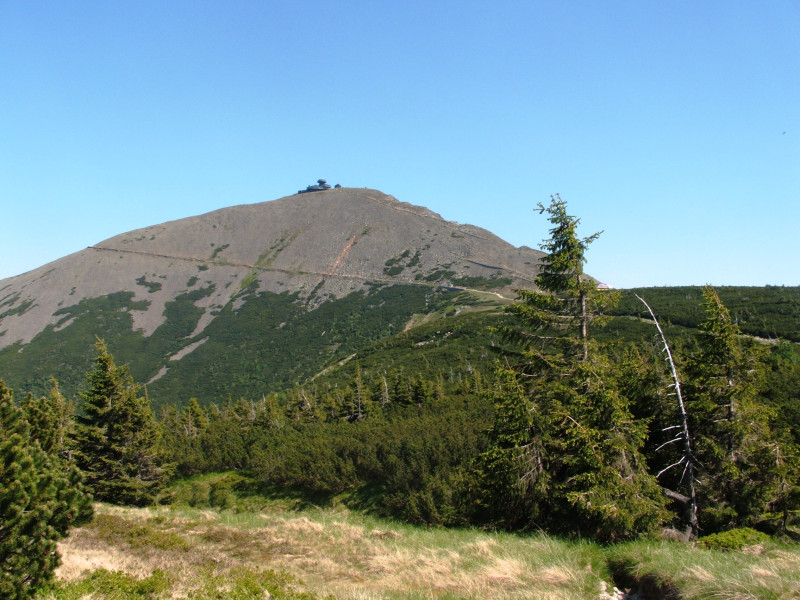 Śnieżka